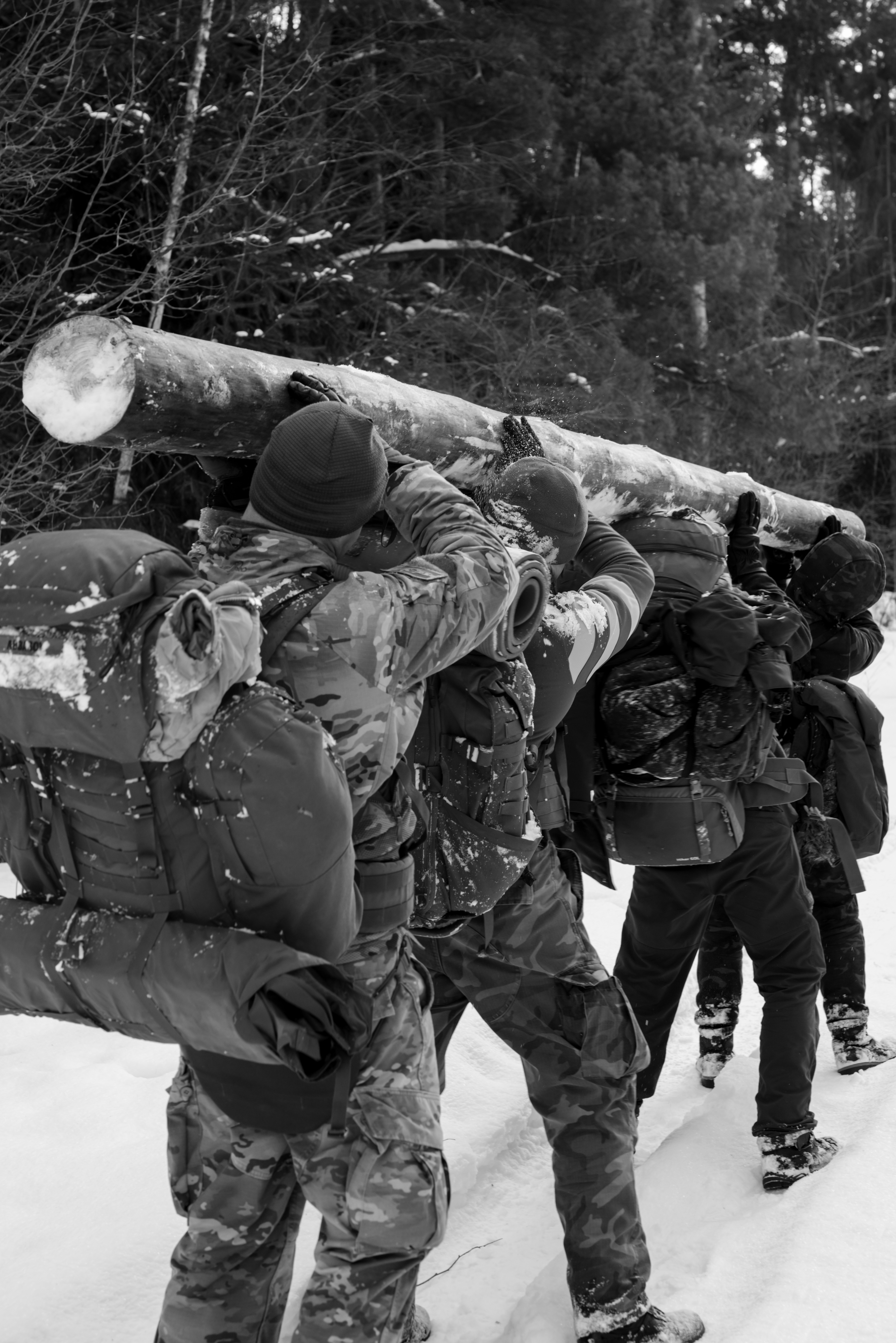 Self Expedition — komandinis iššūkis